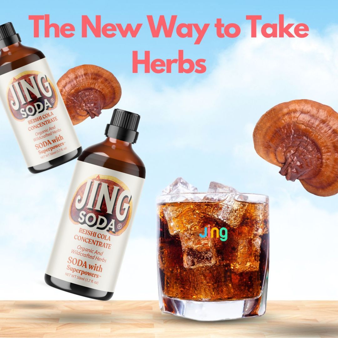 Jing Soda® Reishi Cola, 32oz